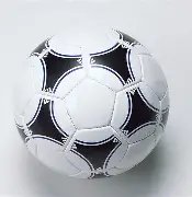 乐鱼体育,资讯,乐鱼体育官网,乐鱼体育,乐鱼体育官网,乐鱼体育官方,乐鱼体育下载