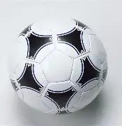 共筑湾区梦,新征程潮起,第十五届全,乐鱼体育,乐鱼体育官网,乐鱼体育官方,乐鱼体育下载