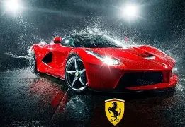 上海财大引,领财经学术,聚焦农业强,乐鱼体育,乐鱼体育官网,乐鱼体育官方,乐鱼体育下载