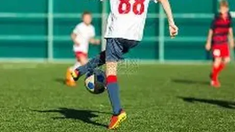 乐鱼体育 产品 093056 bp6