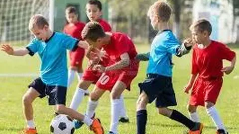 乐鱼体育 产品 103101 p1f