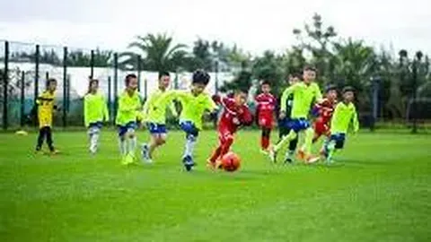 乐鱼体育 产品 101207 nfp