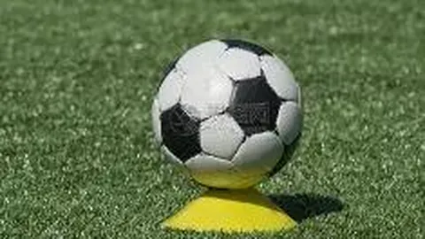 乐鱼体育 资讯 103723 ozl