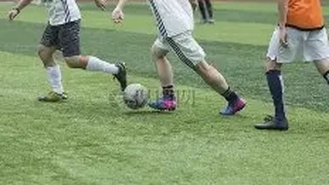 乐鱼体育 资讯 183905 11z