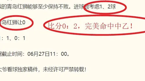 武切维奇解读布朗交易内幕：或恰逢其时，与塔图姆关系和谐无冲突